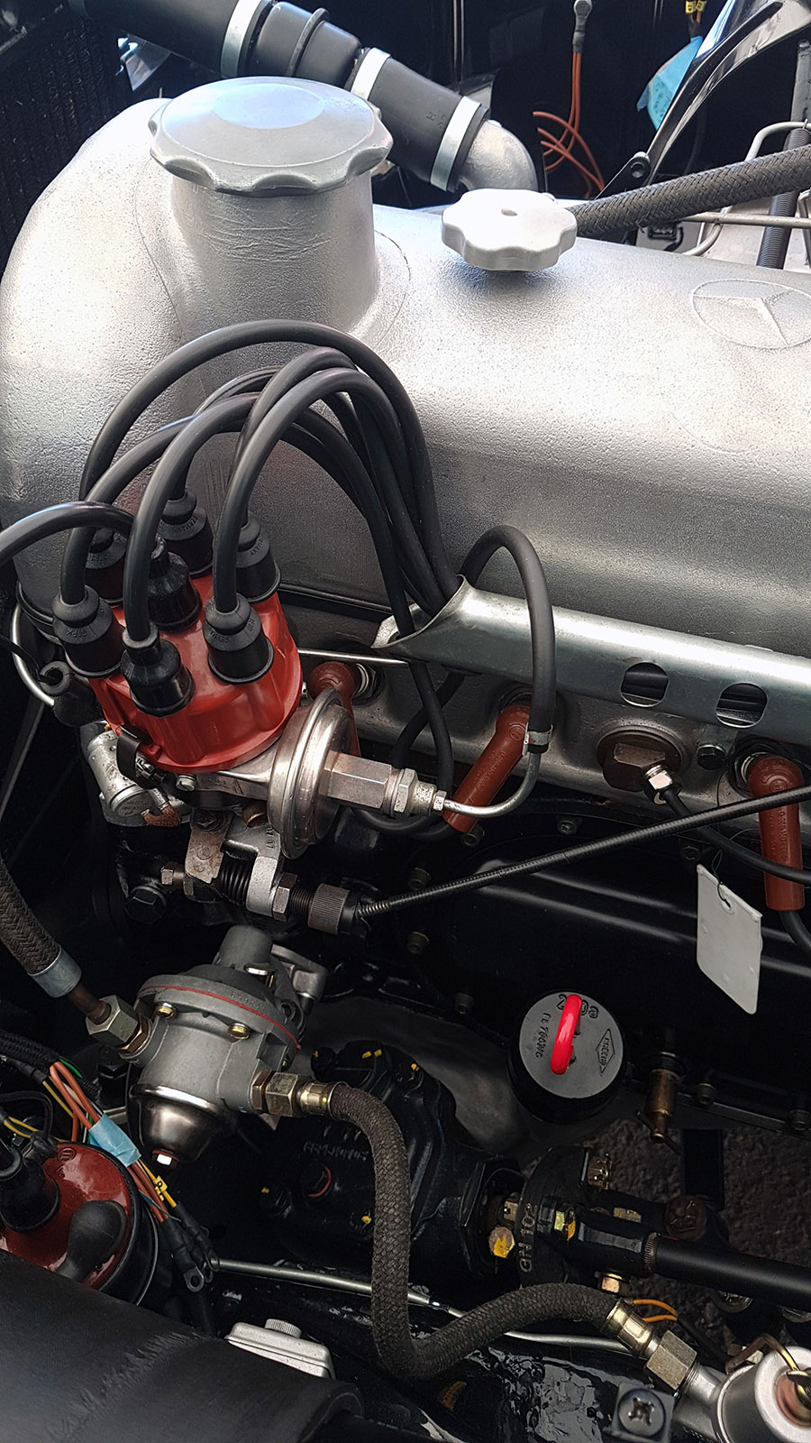 Details of the distributor Details of the distributor