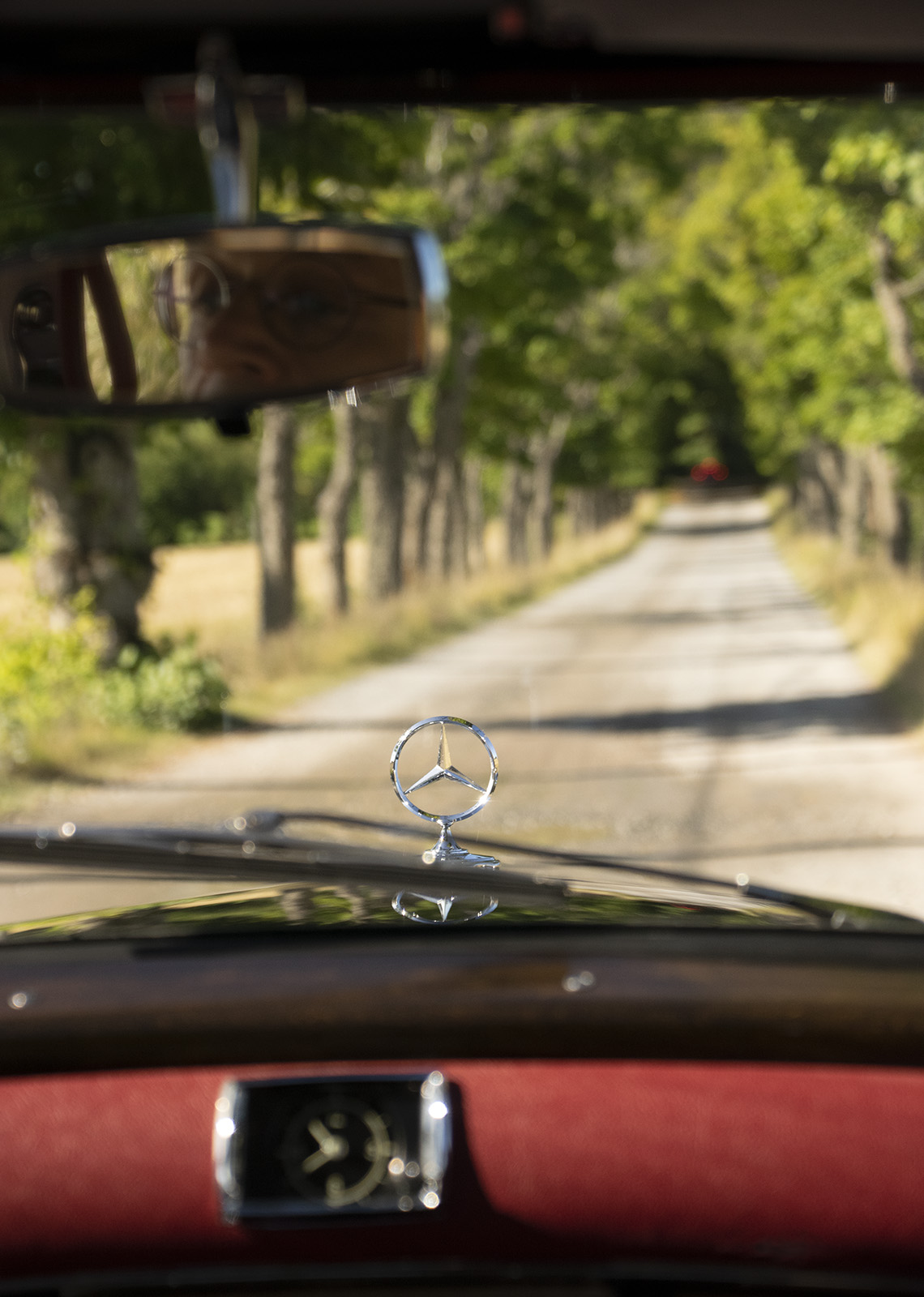 In our Mercedes W105 in the alley leading to Skånelaholm castle